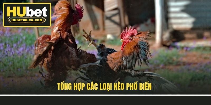 Tổng hợp các loại kèo phổ biến
